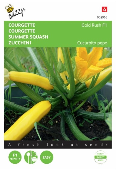 Zucchini Gold Rush F1 (Cucurbita) 16 Samen